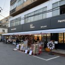 돌삼(Dolsam) 이미지