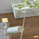 성원노래방 | 3월을 미주알고주알 전해드려요