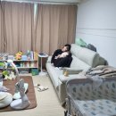 노원도봉 도담도담 산후도우미 추천 조*연 관리사님 3주후기