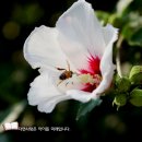 청일파출소 이미지