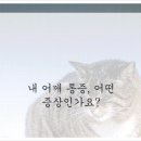 고양정형외과 네이버블로그