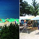 옥계해수욕장(숲) 이미지