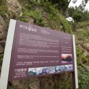 절영산책로 관리동 이미지