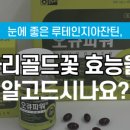 도래약국 이미지