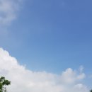 여주-0999 이미지