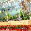 생명농업기술센터 이미지