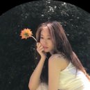 지연System 이미지