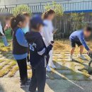 강경황산초등학교 이미지