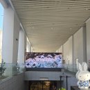 현대문구서점 | 광안리 가볼만한곳 포디움다이브｜서점과 전시가 함께하는 부산 복합문화공간