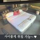 BEYOND HOTEL(비욘드호텔) | 케냐 마사이마라 최고급 럭셔리 숙소 롯지 케냐간세끼에 나온 앤드비욘드 키치와템보 가격, 예약방법