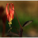 도비산 등산로 이미지