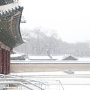 고성-회화-02-비-13 | 서울 겨울에 꼭 가볼만한 곳, 창덕궁의 아름다운 눈꽃!