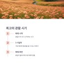 하추리 하천변 네이버블로그
