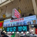 우니보기 | 속초대일호방어 속초 회포장 맛집 우니초밥 찐만족후기