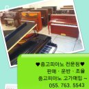 진주피아노악기사 이미지