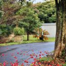 제주아이브리조트 이미지