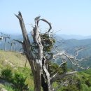 덕유산 종주(향적봉에서 남덕유산) 이미지