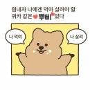 뽑기초보샵 | 뿌삐의 냥줍일기 : 초보집사가 되다!