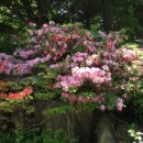 여민행정사사무소 이미지