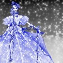 파라키스 이미지