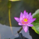 고요농장 이미지