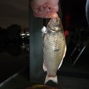 고잔낚시터 이미지