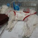 대지로2L 이미지