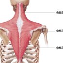 짐 오늘 이미지