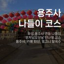 용주사 | 화성 용주사 연등 + 한옥카페 화산카페 나들이 후기 (부처님오신날 경기남부 당일치기 코스)