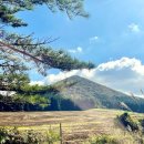 궷물오름 | 제주오름산책 궷물오름 기대와는 달랐지만 엄마와의 기억은 남았던 곳