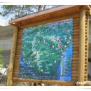 화심장어 이미지