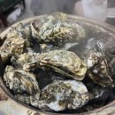 애기 강아지 반려견전문샵 이미지