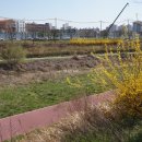 서재자이 이미지