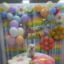 푸플리 케이크 이미지