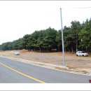 화진해수욕장 이미지