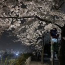 도농체육공원 이미지