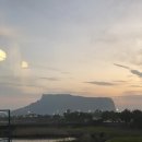 성산고등어쌈밥 | 나혼자 제주 동쪽 여행 성산/고등어쌈밥 솔직후기/성산프릳츠/성산유채꽃밭