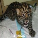 직지농장 이미지