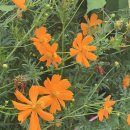 지애목장 이미지