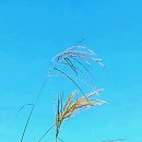 뚝길따라 이미지