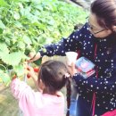 스태츠칩팩코리아 노동조합 이미지