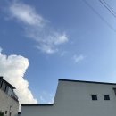 서로하우스 | 24.06.08춘천 서로 하우스 후기