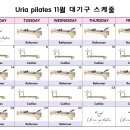 유리아필라테스 네이버블로그