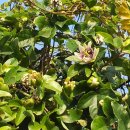 건입동경로당 이미지