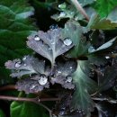 사진마당 이미지