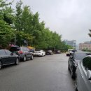 내포한방삼계탕