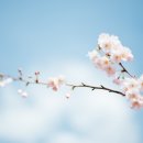 세상의 모든 향기