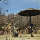 (주)레포필드 (주)예스티 | 울고 싶지 않아