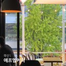 에프엠카페(FM CAFE) | 부산 서면 전포카페 에프엠커피 테라스 카페 fm coffee