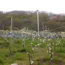 윤성농장 이미지